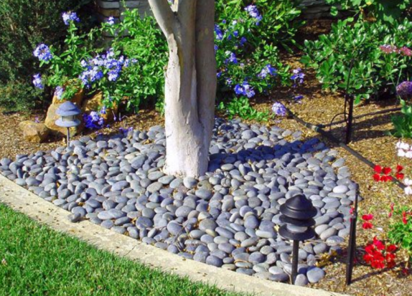 Batu Kerikil pada Bagian Bawah Pohon